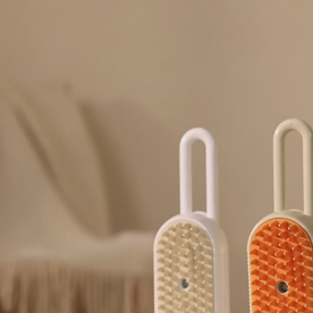 Charger la vidéo : 